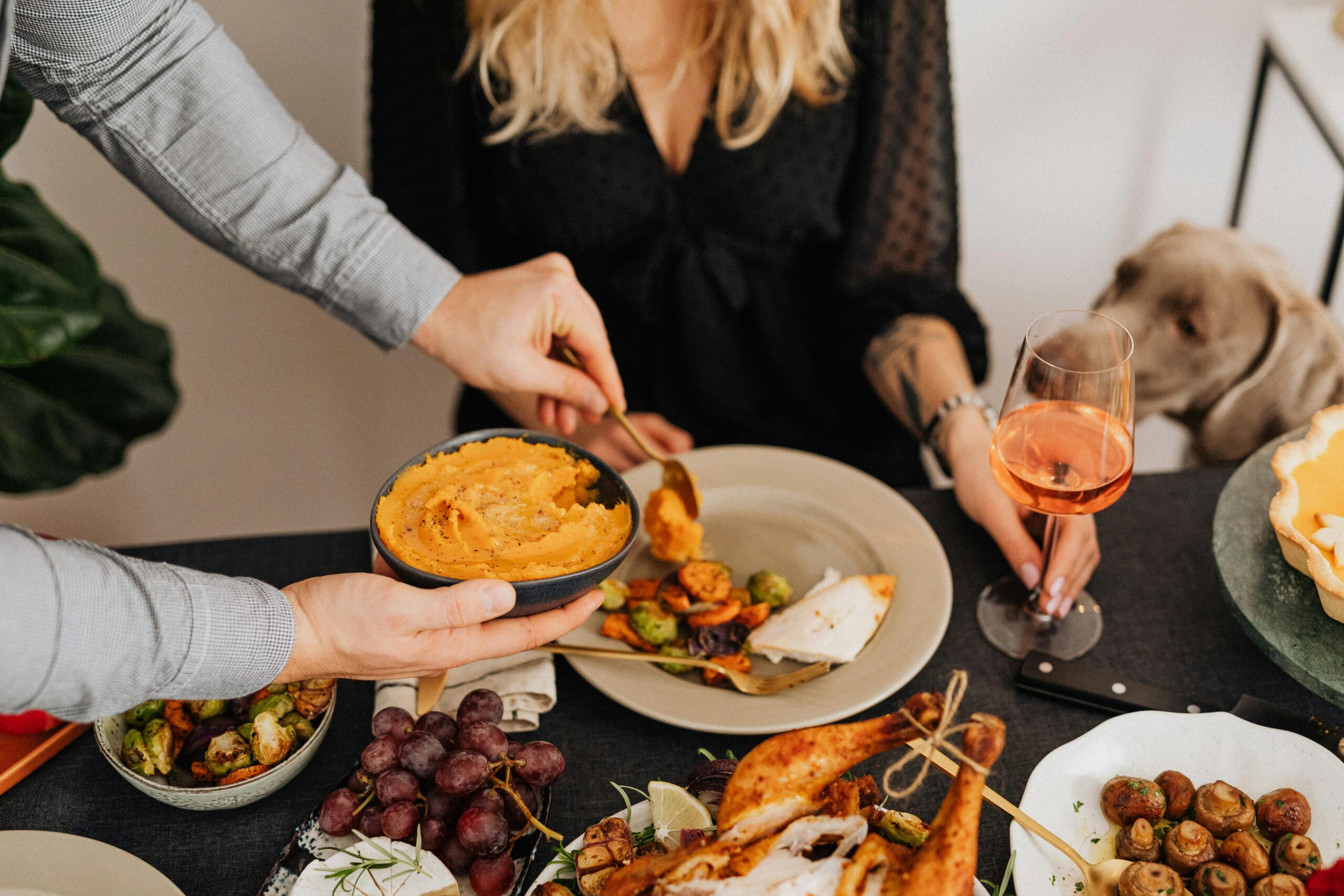 Avoid These Toxic Thanksgiving Foods for Dogs